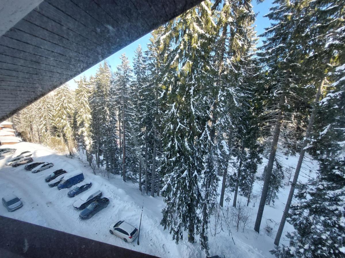 Ski & Holiday Apartments In Pamporovo Bagian luar foto
